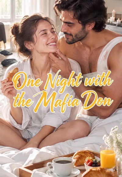 One Night with the Mafia Don poster