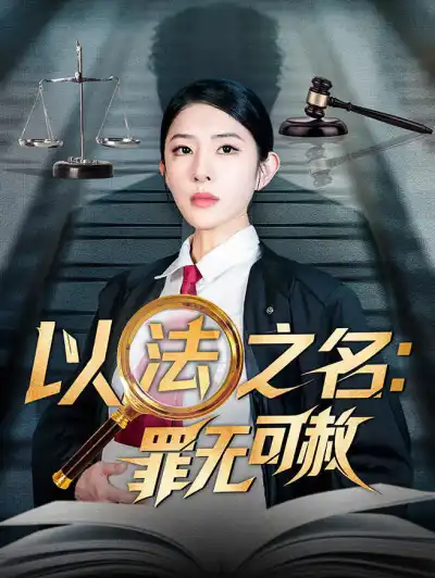 以法之名:罪无可赦 poster