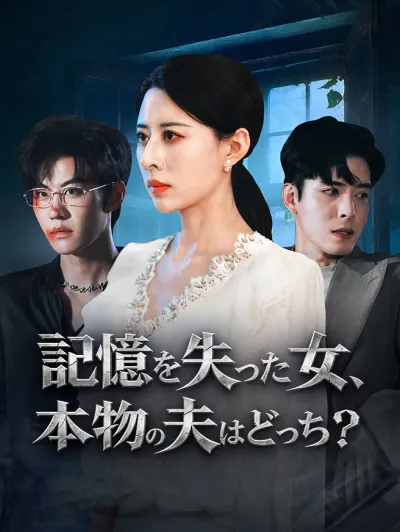 記憶を失った女、本物の夫はどっち? poster