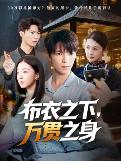 布衣之下,万贯之身 poster