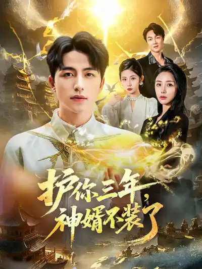 护你三年,神婿不装了 poster