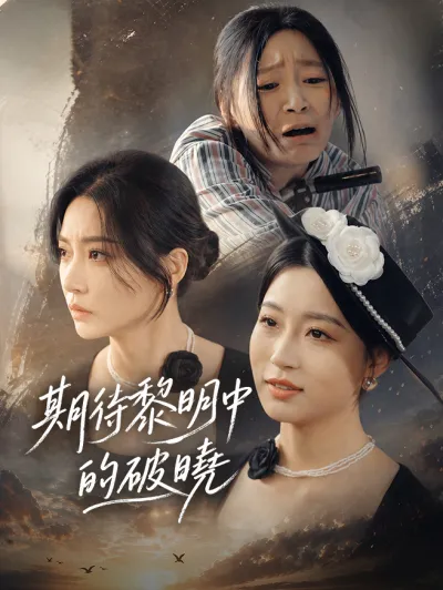 期待黎明中的破曉 poster