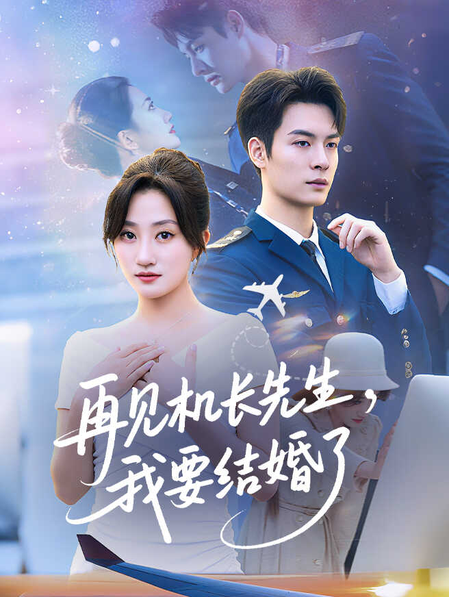 再见机长先生，我要结婚了