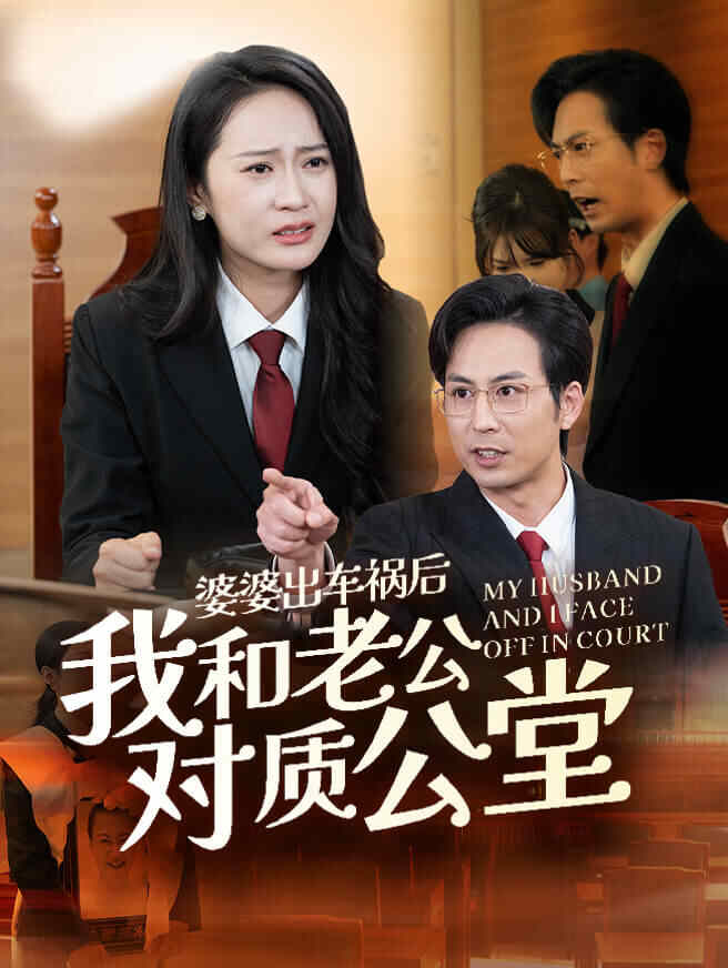 婆婆出车祸后我和老公对质公堂