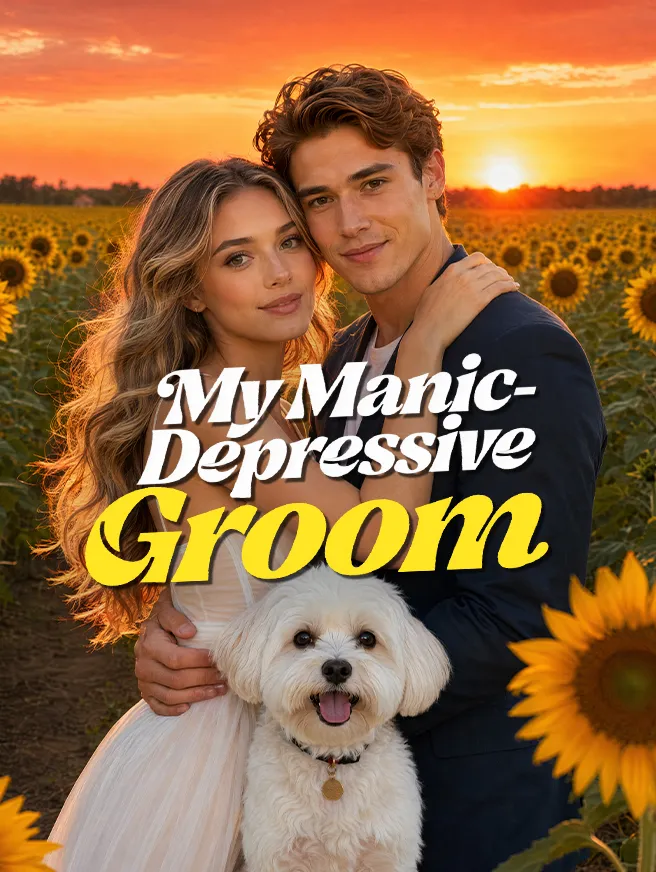 My Manic-Depressive Groom poster