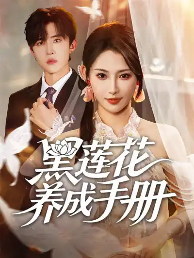 黑莲花养成手册 poster