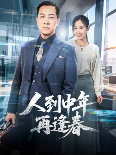 人到中年再逢春 poster