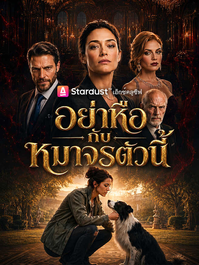 อย่าหือกับหมาจรตัวนี้