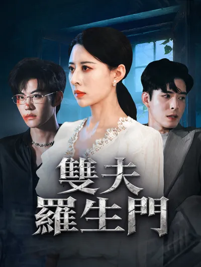雙夫羅生門 poster