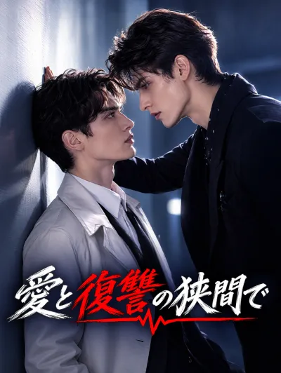 愛と復讐の狭間で poster