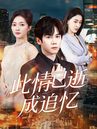 此情已逝成追忆 poster