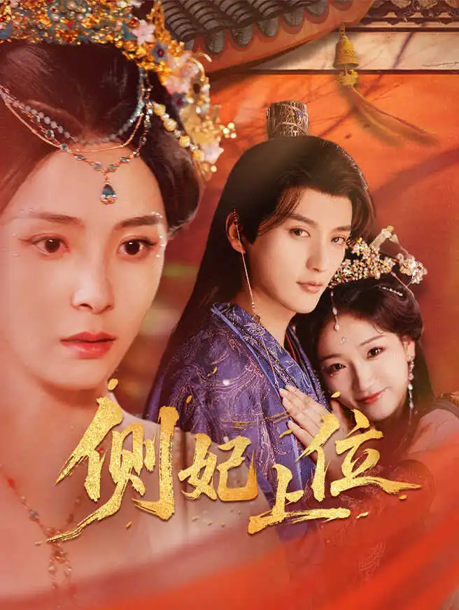 侧妃上位 poster