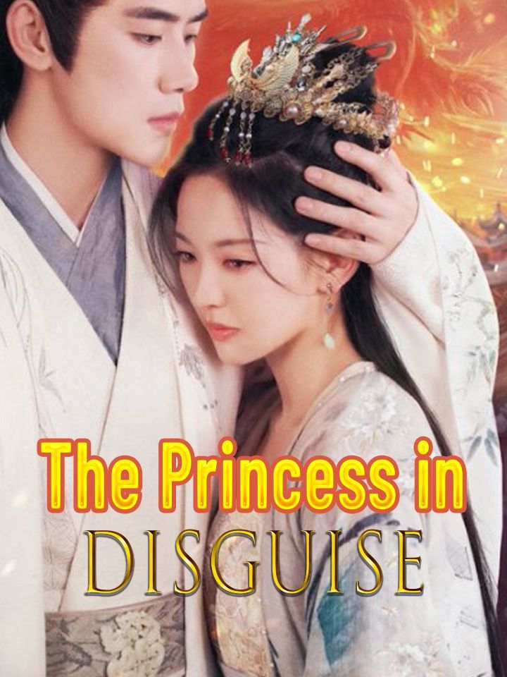 The Princess in Disguise