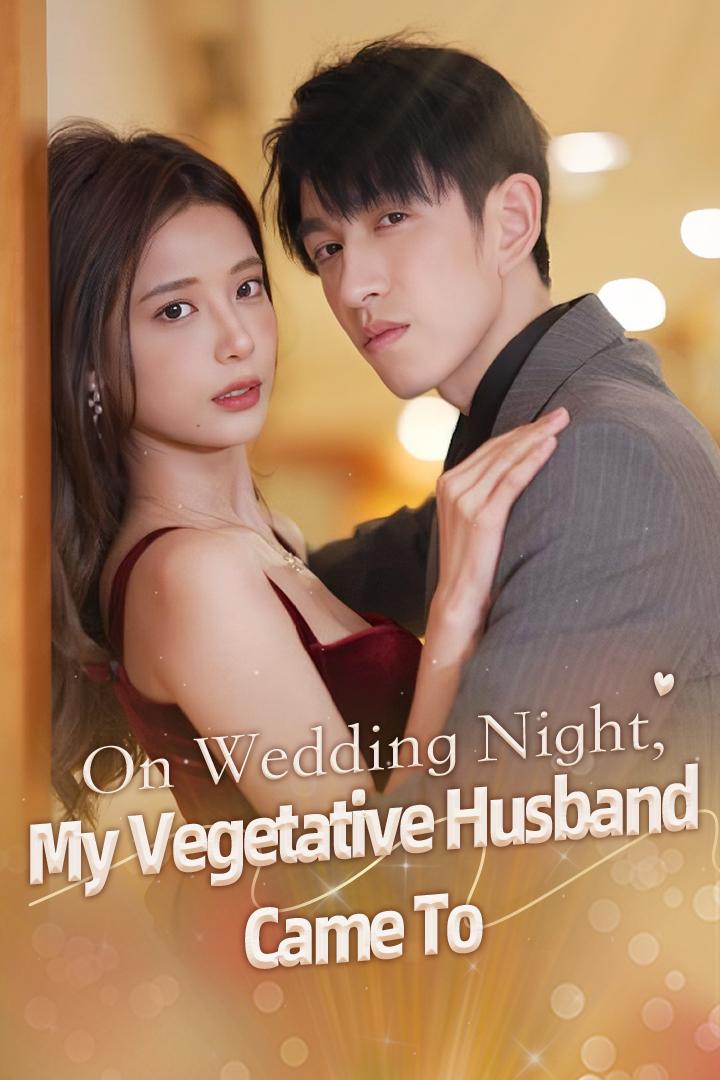 On Wedding Night, My Vegetative Husband Came To