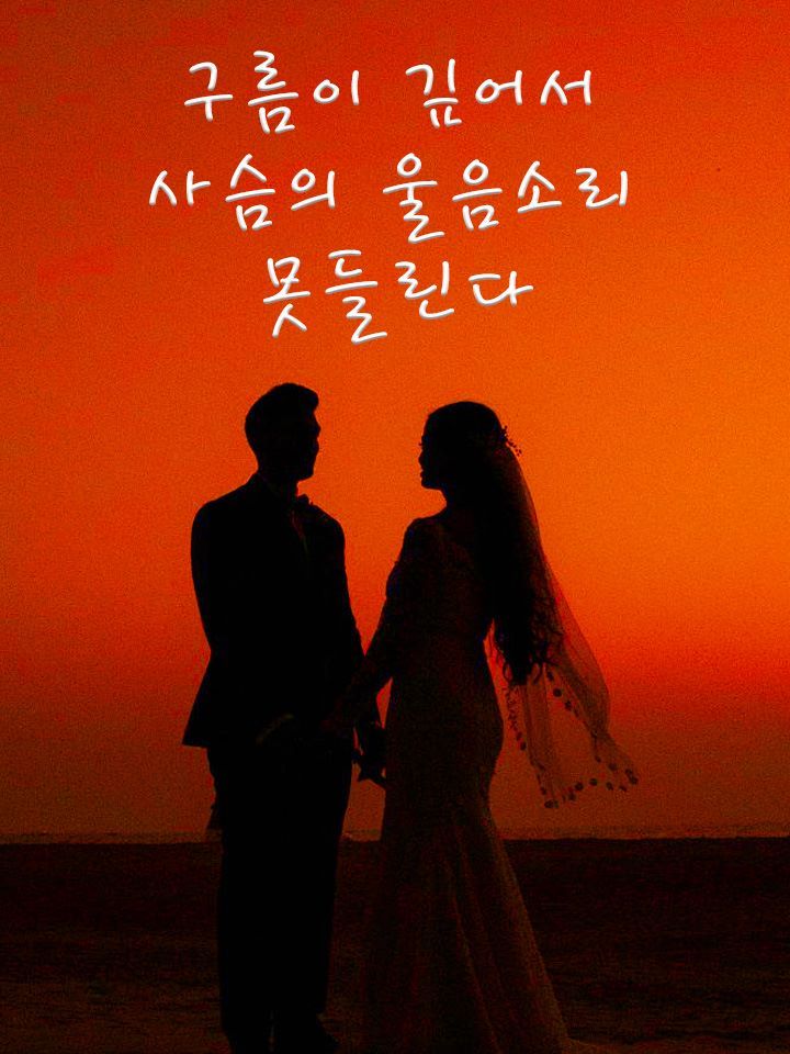 구름이 깊어서 사슴의 울음소리 못들린다