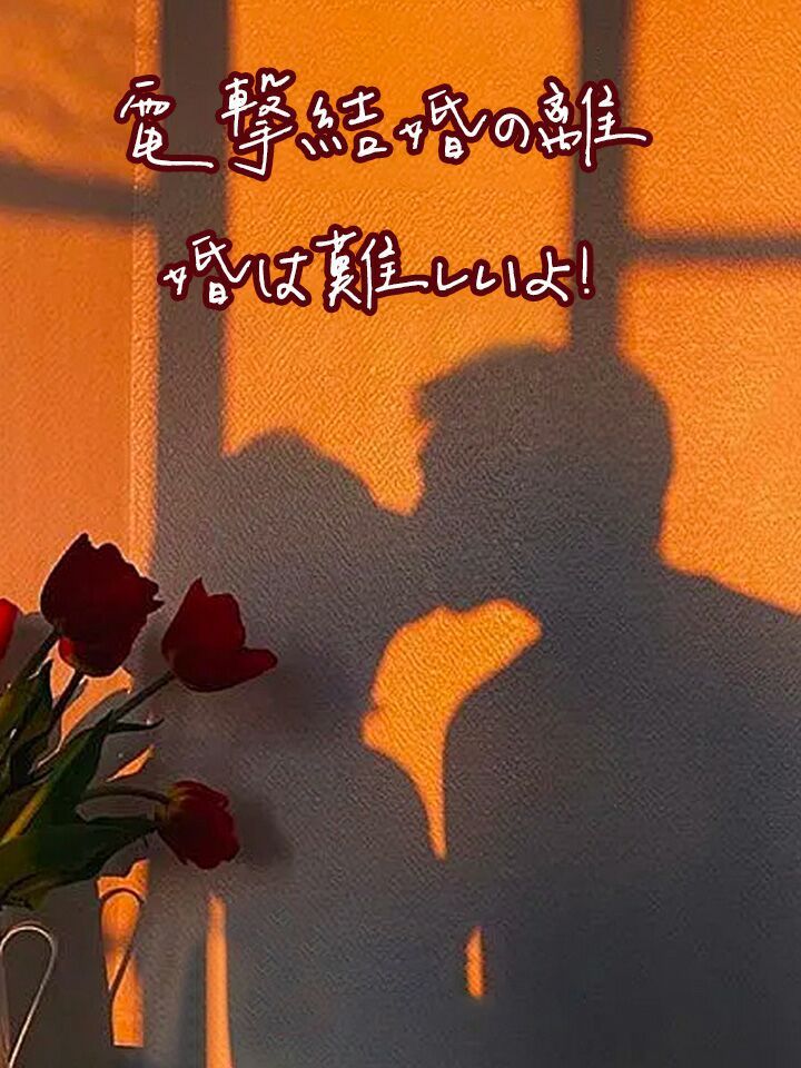 電撃結婚の離婚は難しいよ！