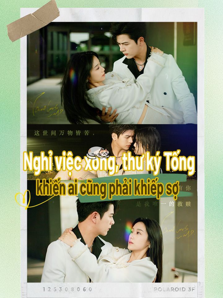 Nghỉ việc xong, thư ký Tống khiến ai cũng phải khiếp sợ.