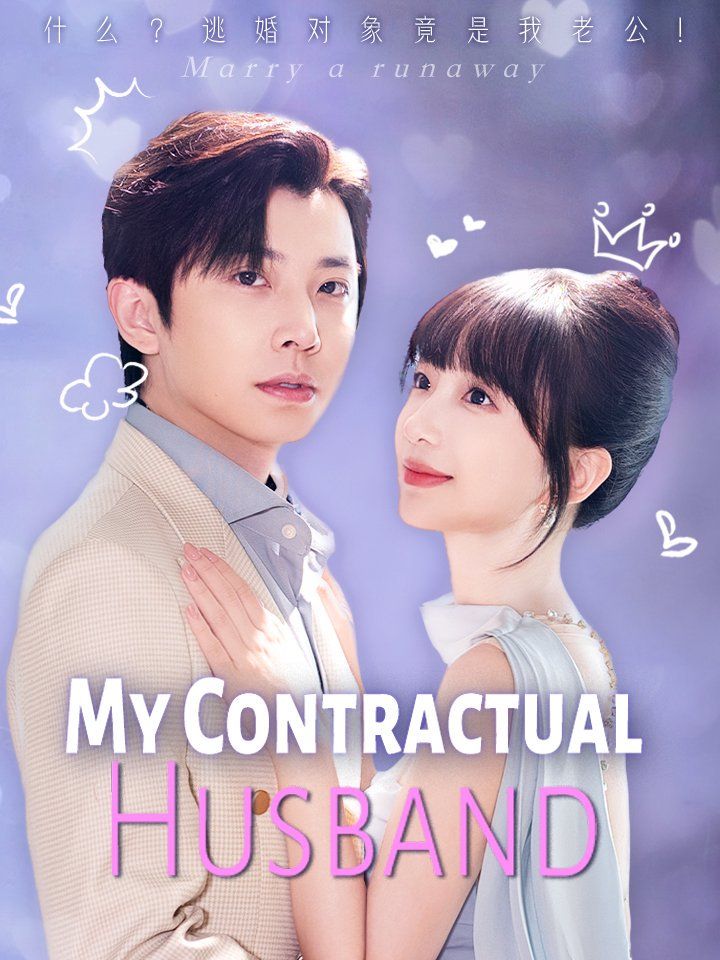 My Contractual Husband