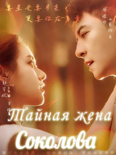 Тайная жена Соколова poster