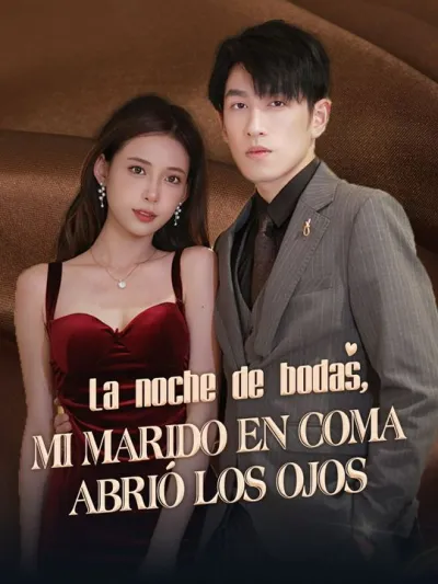 La noche de bodas, mi marido en coma abrió los ojos poster