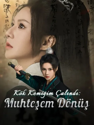 Kök Kemiğim Çalındı: Muhteşem Dönüş poster