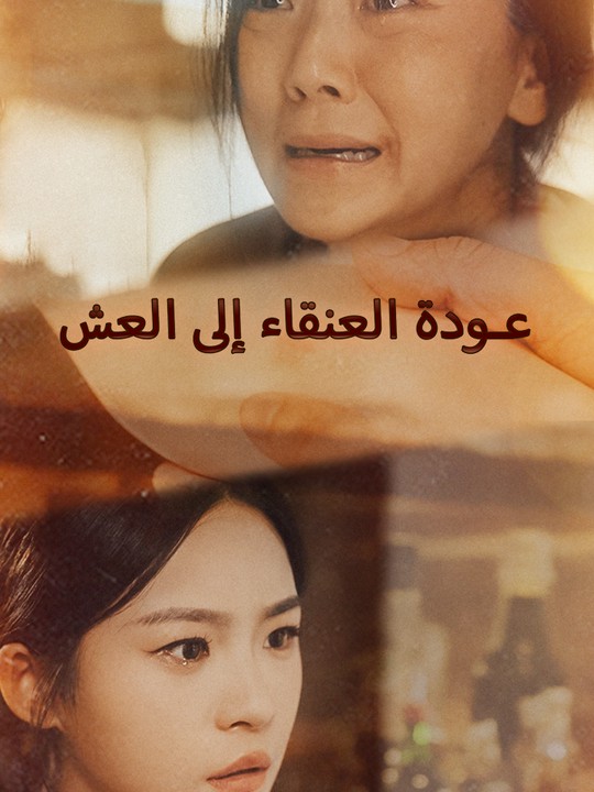 عودة العنقاء إلى العش