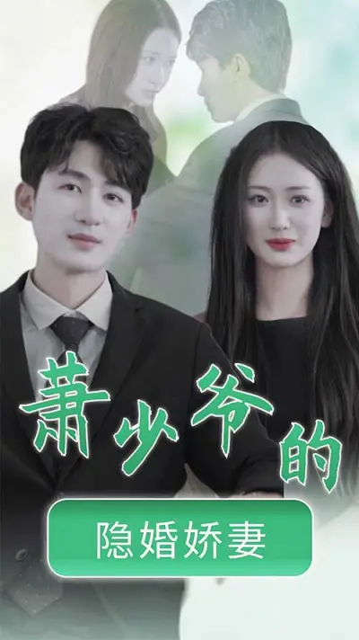 萧少爷的隐婚娇妻 poster