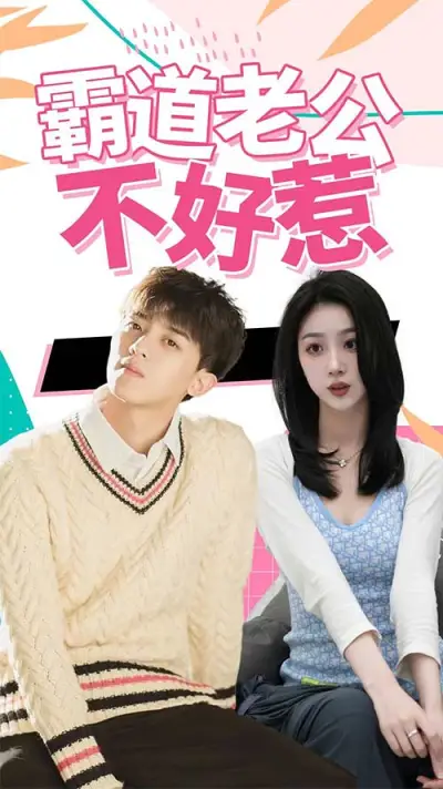 霸道老公不好惹 poster