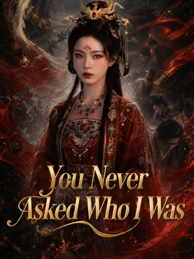 You Never Asked Who I Was poster