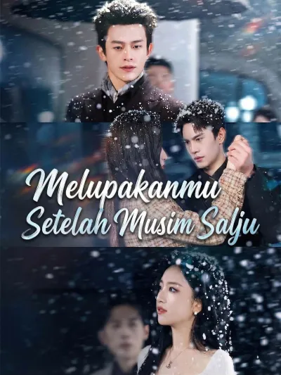 Melupakanmu Setelah Musim Salju poster