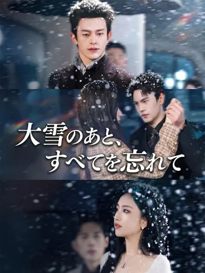 大雪のあと、すべてを忘れて poster