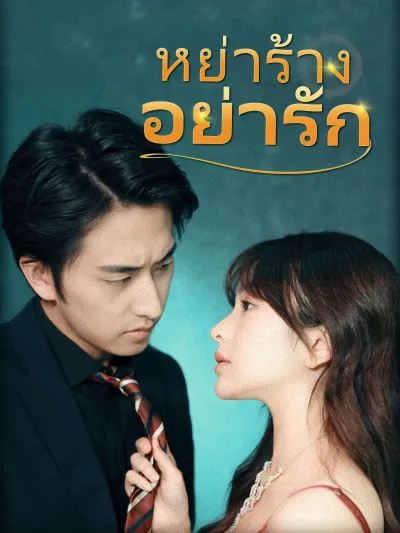 หย่าร้าง อย่ารัก poster