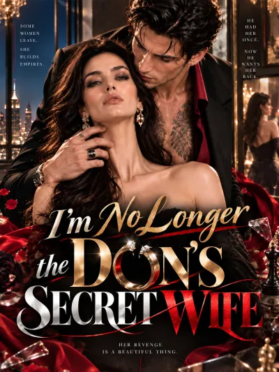 I’m No Longer the Don’s Secret Wife poster