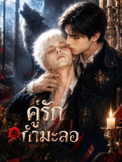 คู่รักกํามะลอ poster
