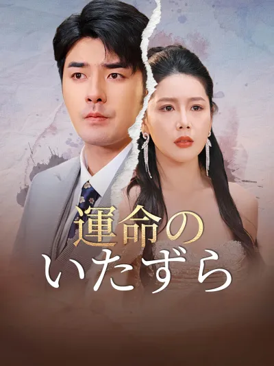 運命のいたずら poster