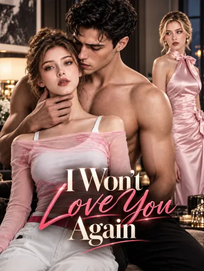 I Won't Love You Again poster