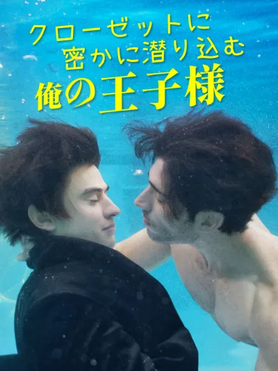 クローゼットに密かに潜り込む俺の王子様 poster