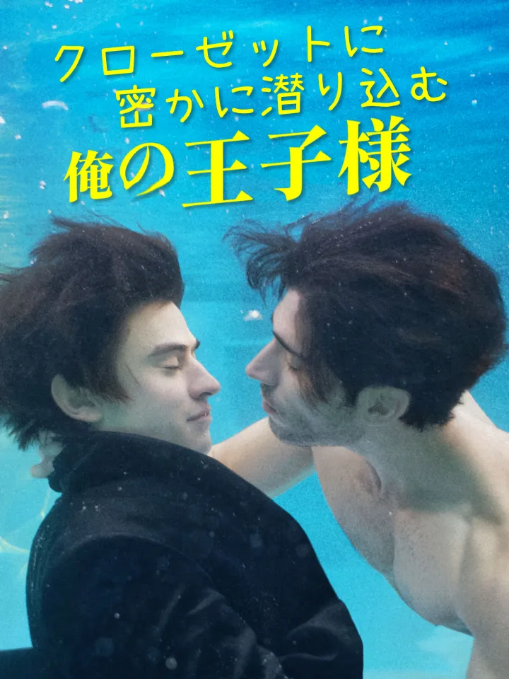 クローゼットに密かに潜り込む俺の王子様 poster