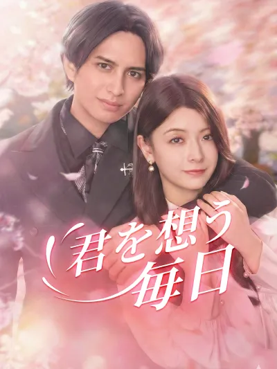 君を想う毎日 poster
