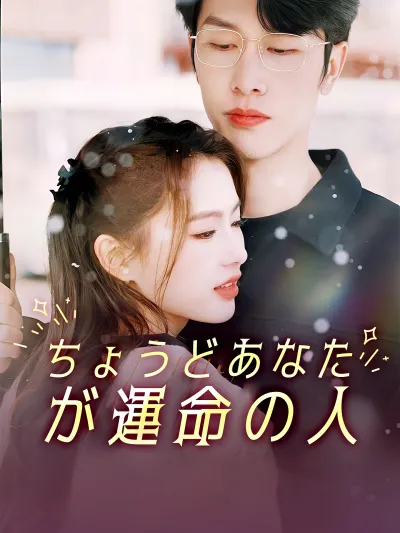 ちょうどあなたが運命の人 poster