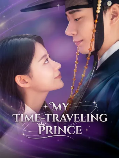 My Time-Traveling Prince poster
