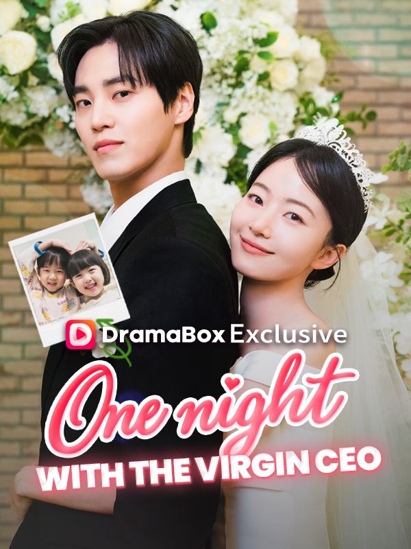 One Night With the Virgin CEO (DUBBED)