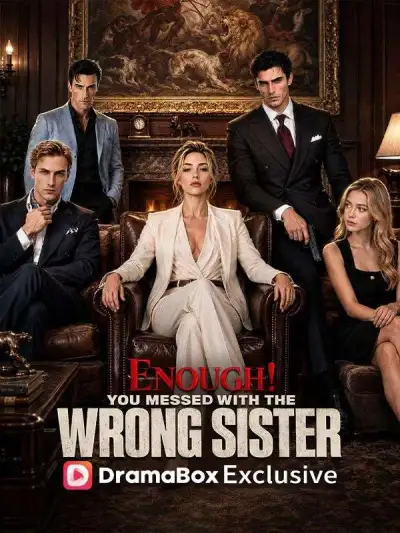 Enough! You Messed With The Wrong Sister poster