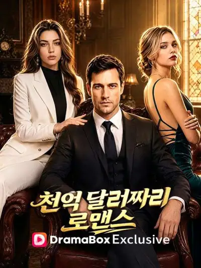 천억 달러짜리 로맨스(더빙) poster