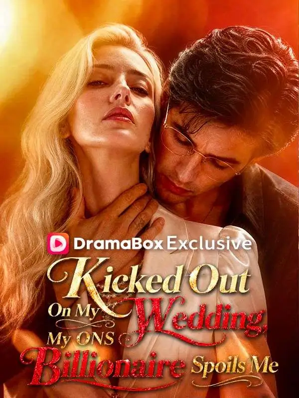 Kicked Out On My Wedding, My ONS Billionaire Spoils Me poster