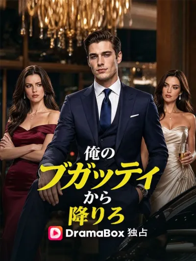 俺のブガッティから降りろ(吹き替え) poster