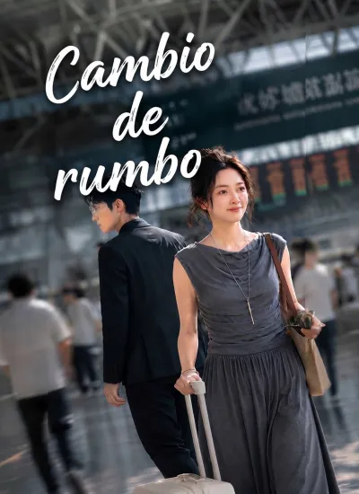 Cambio de rumbo poster