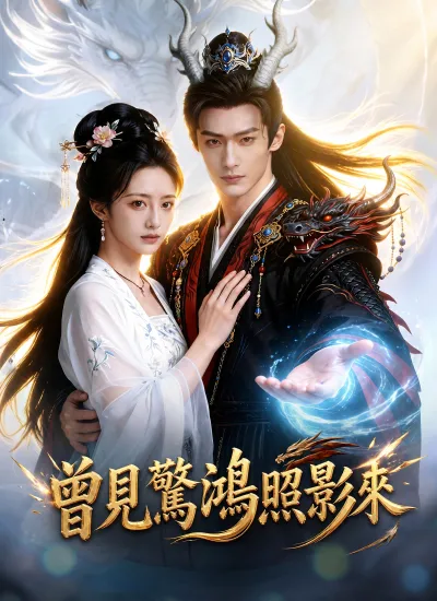 曾見驚鴻照影來 poster