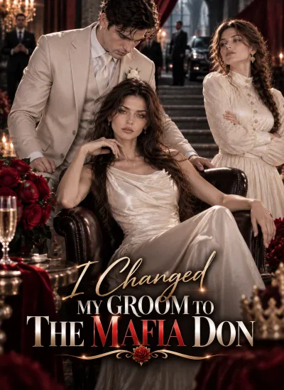 I Changed My Groom to the Mafia Don poster
