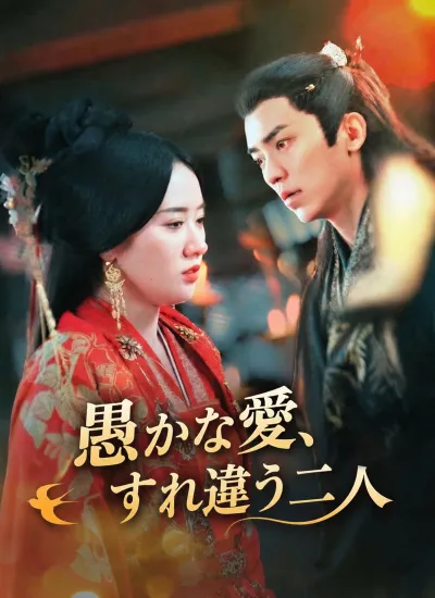 [吹替]愚かな愛、すれ違う二人 poster
